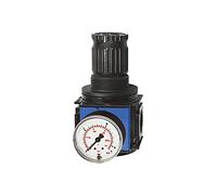 RIEGLER 100636-VR 24 - Regolatore di pressione "variobloc", con manometro, BG 1, G 1/4, 0,5-16 bar, 1 pezzo