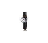 RIEGLER 100784-578.01 M - Regolatore filtro standard mini, contenitore in metallo con mano., G 1/4, 1 pezzo
