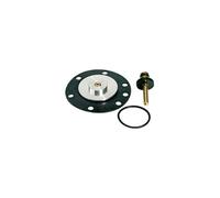RIEGLER 100837-22.635.4 - Set di parti di usura per regolatore di pressione standard, BG 2, 1 pezzo