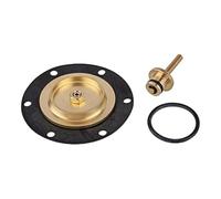 RIEGLER 100910-22.753.4 - Set di parti di usura, per regolatore di pressione costante, BG 2, 1 pz