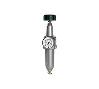 RIEGLER 100934-578.021 M - Regolatore filtro standard, con contenitore in metallo, BG 1, G 1/4, 1 pezzo