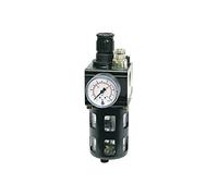 RIEGLER 101100-810.05 S - Unità di manutenzione combinata, con cestello di protezione, BG 1, G 3/8, 0,5-10 bar, 1 pezzo
