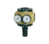 RIEGLER 101136-637.75 - Regolatore di pressione grande con 2 manometri, G 1 1/2, regolatore, 0,5-6 bar, 1 pezzo