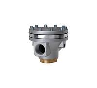RIEGLER 101253-637.302 - Regolatore di pressione pneumatico radiocomandato "Standard", G 3/4, 1 pz