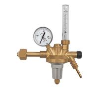 RIEGLER 101282-489.10 - Regolatore di pressione per bottiglie, 200 bar, argon, misuratore 0-20 l/min, 1 pezzo