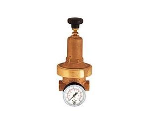 RIEGLER 101435-300.02 - Regolatore di pressione DRV 250, a bassa pressione, G 3/8, 0,2-2 bar, 1 pezzo