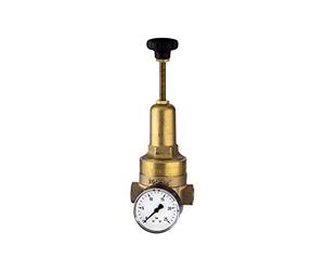 RIEGLER 101440-400.04 - Regolatore di pressione DRV 225, versione ad alta pressione, G 3/4, 1,5-20 bar, 1 pezzo