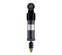 RIEGLER 101551-429.2612 prefiltro con manometro differenziale, 2 µm, G 2, 1 pezzo