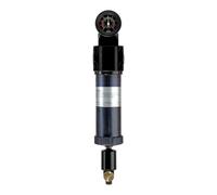 RIEGLER 101564-430.2309 - Microfiltro con manometro differenziale, 0,01 µm, G 1, 1 pz