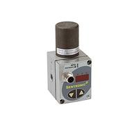 RIEGLER 101632-PV 2251 - Valvola di controllo proporzionale "sentronic D", 24 V DC, G 1/4, DN 4, 1 pezzo