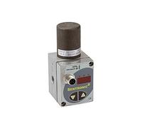 RIEGLER 101634-PV 2261 - Valvola di controllo proporzionale "sentronic D", 24 V DC, G 3/8, DN 8, 1 pz
