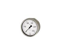 RIEGLER 102064-608 - Manometro robusto, G 1/2 posteriore eccentrico, 0-25,0 bar, Ø 100, 1 pezzo