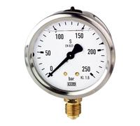 RIEGLER 102129-723-C - Manometro di glicerina, acciaio CrNi, G 1/2 inferiore, 0-1,6 bar, Ø 100, 1 pz