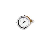 RIEGLER 102296-1024 Glyzerinmano, anello triangolare, G 1/2 eccentrico, 0-4,0 bar, Ø 100, 1 pezzo