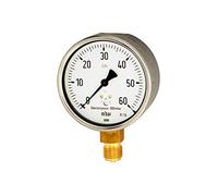 RIEGLER 102520-5843 - Manometro a molla a capsula, in acciaio, G 1/4 radiale inferiore, 0-160 mbar, Ø 63, 1 pz