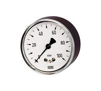 RIEGLER 102551-5824 - Manometro a molla a capsula, G 1/4 centrale posteriore, 0-160 mbar, Ø 63, 1 pz