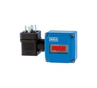 RIEGLER 102756-894.20 - Display digitale a scatto con display LCD a 4 cifre, da -1999 a +999, 1 pz