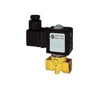 RIEGLER 102901-MV 1342 G 2/2-MV, MS, NO, diretta, 24 V DC, 8 W, FKM, G1/8, PN0-14bar, 1 pezzo