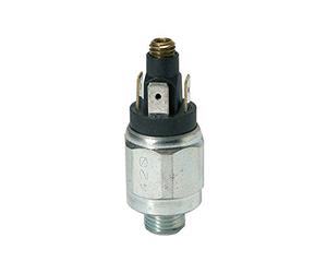 RIEGLER 103013-DS 4035 - Interruttore a pressione, in acciaio, 42 V, G 1/4, 1-10 bar, 1 pezzo