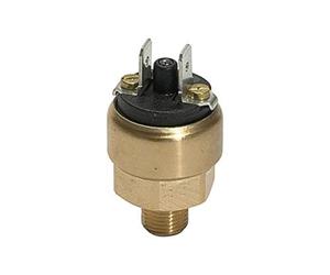 RIEGLER 103015-DS 214 - Interruttore a pressione, mini uscita, MS, 42 V, G 1/8, 1-10 bar, chiusura