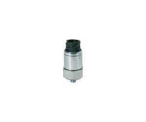 RIEGLER 103027-DS 4612 - Interruttore a pressione, attacco a baionetta, in acciaio verz, G 1/4, 1-10 bar, 1 pezzo