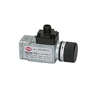 RIEGLER 103034-DS 5822 - Interruttore elettrico a pressione M12 x 1, con, G 1/4, 0,5-8 bar, 1 pezzo