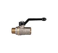 RIEGLER 103252-337.09 - Valvola a sfera con filettatura lunga, IG/AG, MS nichelato, Rp/R 2, 1 pz