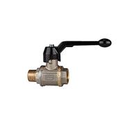 RIEGLER 103277-3350.88 - Valvola a sfera pesante, leva manuale, IG/AG, MS vern, G/R 1 1/2, 1 pezzo