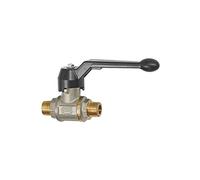 RIEGLER 103282-3351.55 - Valvola a sfera pesante, leva a mano, AG/AG, MS vern., R 3/4, 1 pezzo