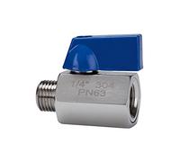 RIEGLER 103492-377.01-ES - Mini valvola a sfera, in acciaio inox 1.4401, IG/AG, G 1/4, DN 7, 1 pezzo