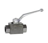 Riegler 103519 - Valvola a sfera ad alta pressione, filettatura interna G, acciaio, G 1/8