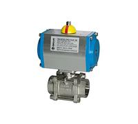 RIEGLER 103603-350.516 ES-Kuha attuatore pneumatico, a doppia azione, Rp 2 1/2, DN 65, 1 pezzo
