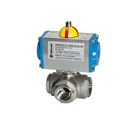 RIEGLER 103631-350.917-T1 ES-Kuha, attuatore pneumatico a doppia azione, foro a T T1, Rp 2, 1 pezzo