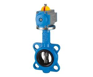 RIEGLER 103677-350.5080B - Valvola a farfalla intermittente, attuatore semplice, DN 80, 1 pz