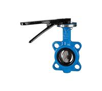 RIEGLER 103685-350.6100B - Valvola di arresto per flangia, DN 100, 1 pezzo