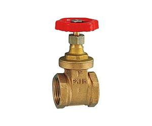 RIEGLER 103774-250.33 - Valvola a saracinesca a manicotto, in ottone, G 3/8, DN 10, 1 pezzo