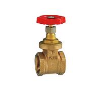 RIEGLER 103779-250.38 - Valvola a saracinesca a manicotto, in ottone, G 1 1/2, DN 40, 1 pezzo