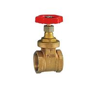 RIEGLER 103781-250.40 - Valvola a saracinesca a manicotto, in ottone, G 2 1/2, DN 60, 1 pezzo