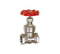 RIEGLER 103785-250.36 ES - Valvola a saracinesca in acciaio INOX 1.4401/1.4408, G 1, DN 25, 1 pezzo
