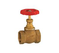 RIEGLER 103793-250.55 - Valvola di intercettazione a manicotto, in ottone, G 1 1/2, DN 40, 1 pezzo
