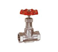 RIEGLER 103800-250.55 ES Valvola di intercettazione a manicotto, in acciaio inox 1.4401/1.4408, G 1 1/2, DN 40, 1 pezzo
