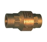 RIEGLER 103872-227.35 valvola di ritegno, passaggio completo, ottone, Rp 1 1/4, 20-50 mbar, 1 pezzo