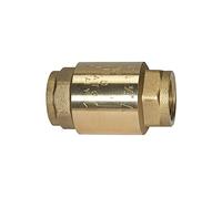 RIEGLER 103887-9227.37 - Valvola di ritegno, passaggio completo, in ottone, G 2, 0,01-0,03 bar, 1 pezzo