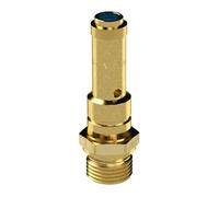 RIEGLER 104161-226.02-7,0 valvola di sicurezza DN 8, ottone, G 3/8, pressione di risposta 7 bar, 1 pezzo