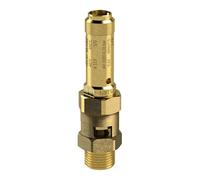 RIEGLER 104800-229.01-0,3 Valvola di sicurezza in ottone, G 1/2, pressione di contatto 0,3 bar, 1 pezzo
