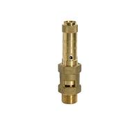 RIEGLER 104976-229.04-2,3 Valvola di sicurezza in ottone, G 1 1/4, pressione di risposta 2,3 bar, 1 pezzo