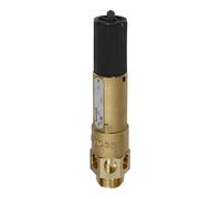 RIEGLER 105203-1144.02-18.0 - Valvola di sicurezza ad alte prestazioni, MS, G 3/4, pressione di risposta 18 bar, 1 pezzo