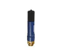 RIEGLER 105354-1145.02-6,0 Valvola di sicurezza ad alte prestazioni, MS, G 1 1/2, pressione di risposta 6 bar, 1 pezzo