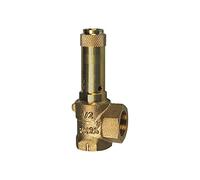 RIEGLER 105544-221.03-6,3 valvola di sicurezza angolare, liquidi, pressione di risposta G 1/2, 6,3 bar, 1 pezzo