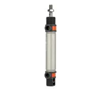 RIEGLER 105718-8.DM.20250 - Cilindro rotondo TP a doppia azione, magnete, diametro pistone 20, hub 250, G 1/8, 1 pz